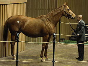 Goldikova Owners Buy Deputy Minister Mare Goldikova Owners Buy Deputy Minister Mare