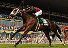 Sid Attard Holds Tough Hand in Play the King Sid Attard Holds Tough Hand in Play the King