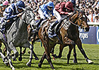 Just The Judge Eyes F&M Turf Via E.P. Taylor Just The Judge Eyes F&M Turf Via E.P. Taylor
