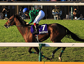Just a Way Devastates Tenno Sho Field Just a Way Devastates Tenno Sho Field