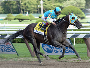 Zayat Pair to Tangle in Forego Stakes Zayat Pair to Tangle in Forego Stakes