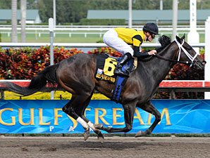 Justwhistledixie Seeks Grade I Win in Acorn Justwhistledixie Seeks Grade I Win in Acorn