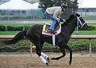 Justwhistledixie Out of Oaks