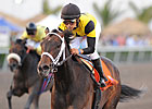 Justwhistledixie Tops Oaks Future Wager Justwhistledixie Tops Oaks Future Wager