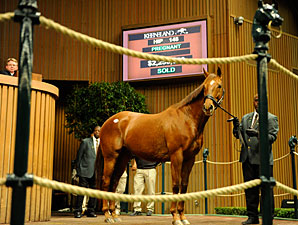 Azeri Sells for $2.25 Million at Keeneland Azeri Sells for $2.25 Million at Keeneland
