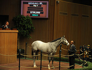 Langfuhr Colt Tops Keeneland Opener Langfuhr Colt Tops Keeneland Opener