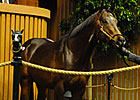 At Keeneland: Good Horses = Good Money At Keeneland: Good Horses = Good Money