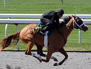 Horses to Watch in Keeneland's Session 2 Horses to Watch in Keeneland's Session 2