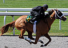 Horses to Watch in Keeneland's Session 2 Horses to Watch in Keeneland's Session 2