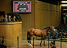 Keeneland Gross, Average, Median Fall