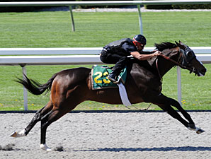 Songandaprayer Colt Shines at Keeneland Songandaprayer Colt Shines at Keeneland