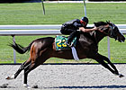 Songandaprayer Colt Shines at Keeneland