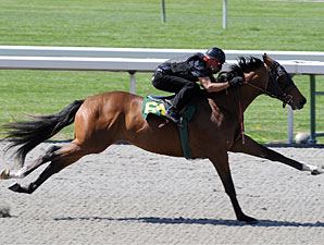 Horses to Watch in Keeneland's Session 1 Horses to Watch in Keeneland's Session 1