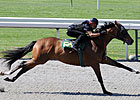 Horses to Watch in Keeneland's Session 1 Horses to Watch in Keeneland's Session 1