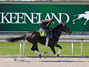 Keeneland Sale Juveniles to Breeze April 4 Keeneland Sale Juveniles to Breeze April 4