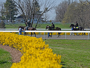 Keeneland April Sale: Hot Horses Keeneland April Sale: Hot Horses
