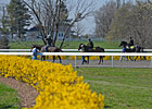 Keeneland April Sale: Hot Horses