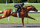 Majestic Warrior's Ist Crop Majestic in Ring
