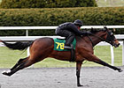 Dixie Union Filly Shines at Keeneland Preview Dixie Union Filly Shines at Keeneland Preview