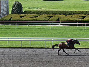 Keeneland Catalogs 137 Horses to April Sale Keeneland Catalogs 137 Horses to April Sale