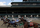 Pacers Take to Polytrack for Road Test