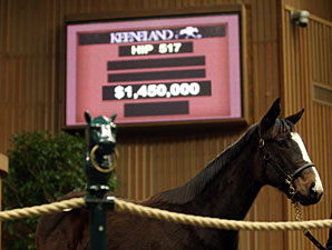 Keeneland January Registers Strong Second Day Keeneland January Registers Strong Second Day