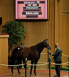 Fares Farm Dispersal Off to Solid Start Fares Farm Dispersal Off to Solid Start