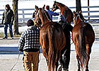 Keeneland January Third Session Posts Gains Keeneland January Third Session Posts Gains