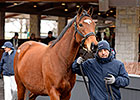 $2.2 Million Up Leads Keeneland Sale $2.2 Million Up Leads Keeneland Sale