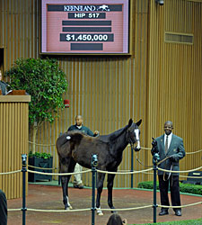 Rea Buys Street Sense Yearling for $1,450,000 Rea Buys Street Sense Yearling for $1,450,000