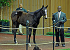 Rea Buys Street Sense Yearling for $1,450,000