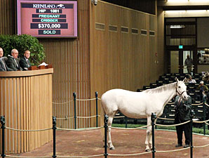 Cozzene Mare Tops Fourth Day at Keeneland Cozzene Mare Tops Fourth Day at Keeneland
