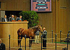 Blind Luck's Dam Brings $1.85 Million Blind Luck's Dam Brings $1.85 Million