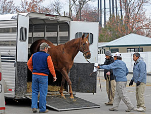 Iqbaal Tops 11th Session of Keeneland Auction Iqbaal Tops 11th Session of Keeneland Auction