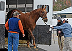 Iqbaal Tops 11th Session of Keeneland Auction Iqbaal Tops 11th Session of Keeneland Auction