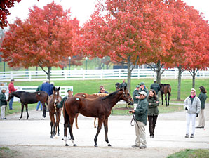 Bullish Market Continues at Keeneland Sale Bullish Market Continues at Keeneland Sale