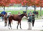 Bullish Market Continues at Keeneland Sale Bullish Market Continues at Keeneland Sale