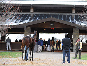 Street Sense Colt Tops Keeneland Session Street Sense Colt Tops Keeneland Session