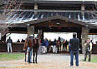 Street Sense Colt Tops Keeneland Session Street Sense Colt Tops Keeneland Session