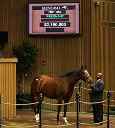 Love Me Only Brings $2.1 Million at Keeneland Love Me Only Brings $2.1 Million at Keeneland