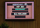Love Me Only Brings $2.1 Million at Keeneland