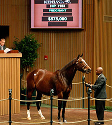 Keeneland Nov. Sale Gross Tops 2010 Total Keeneland Nov. Sale Gross Tops 2010 Total