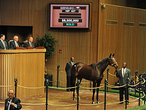 Besilu Buys Royal Delta for $8.5 Million Besilu Buys Royal Delta for $8.5 Million