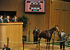 Besilu Buys Royal Delta for $8.5 Million Besilu Buys Royal Delta for $8.5 Million