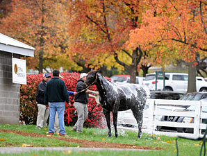 Double-Digit Increases Continue at Keeneland Double-Digit Increases Continue at Keeneland