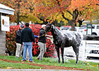 Double-Digit Increases Continue at Keeneland Double-Digit Increases Continue at Keeneland