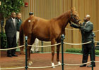 Keeneland November Sale Day 2 Wrap