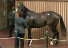 Keeneland November Sale Day 5 Wrap