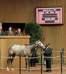 Keeneland Day 4: Average and Median Increase Keeneland Day 4: Average and Median Increase