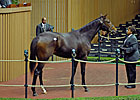 Stonestreet Buys Rachel's Full Sister 